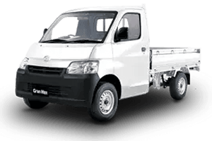 Gran Max Pick Up